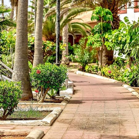Parque Santiago 2 Luxury Studio Apartment بلايا ذي لاس أميريكاس المظهر الخارجي الصورة