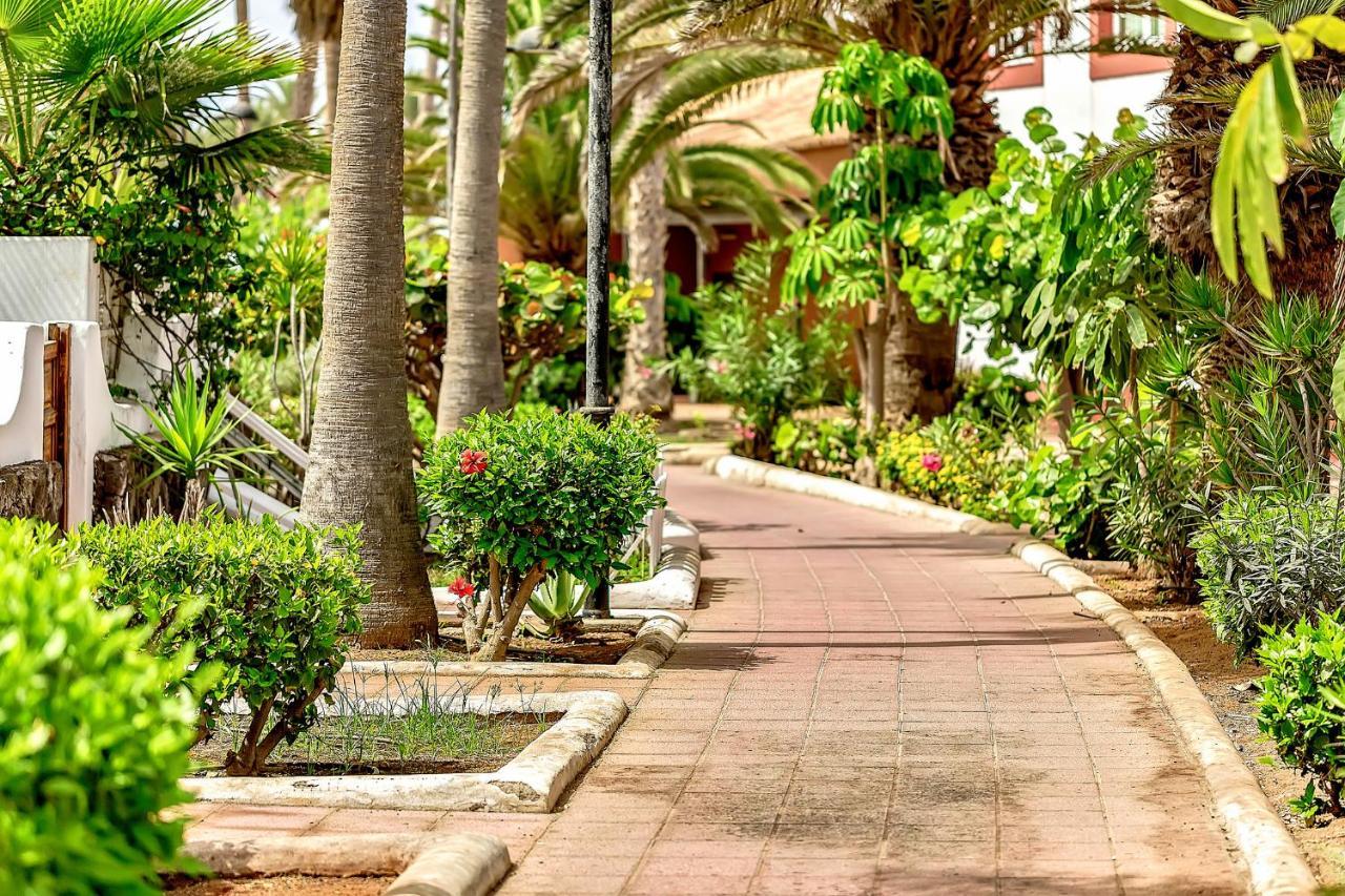 Parque Santiago 2 Luxury Studio Apartment بلايا ذي لاس أميريكاس المظهر الخارجي الصورة